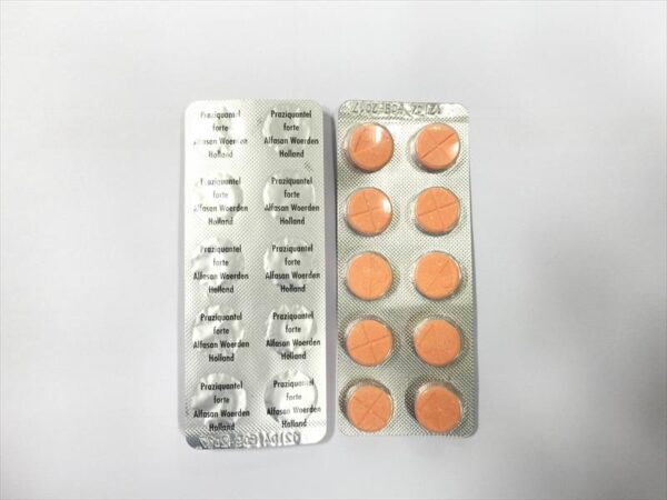 Praziquantel