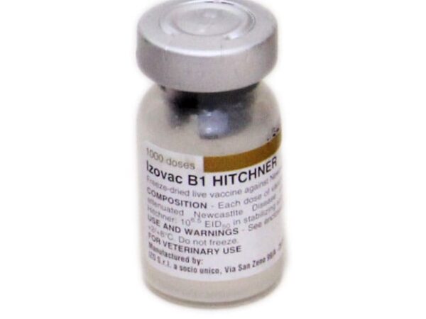 Izovac IB Hitchner 600x450