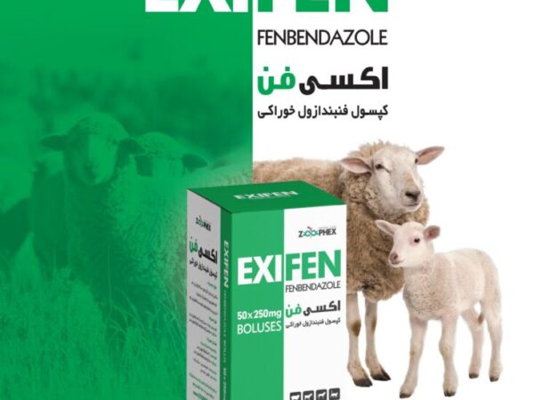 کپسول فنبندازول EXIFEN(اکسی فن)