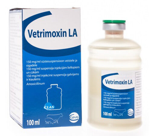 Vetrimoxin L A 150mg/ml آموکسی سیلین