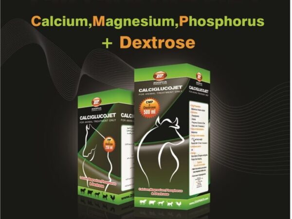 کلسی گلوکوجت (Calciglucojet)