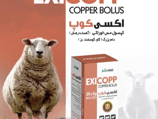 کپسول مس Exicopp (اکسی کوپ)