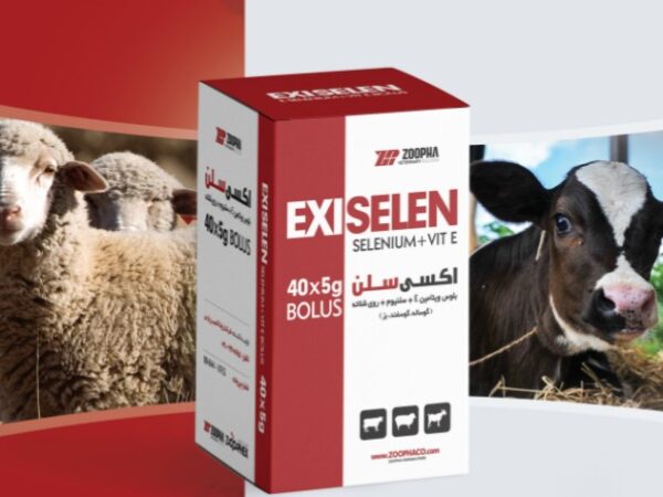 Exiselen(ویتامین Eسلنیوم) گوسفندی