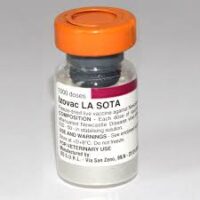 Images 200x200