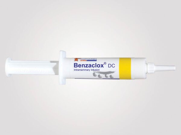 بنزاکلوکس ® دی سی