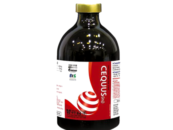 سکوس Cequus