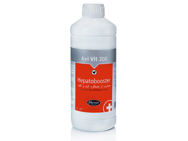 هپاتوبوستر Hepatobooster