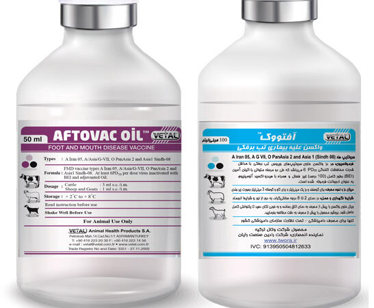 واکسن تب برفکی 100CC AFTOVAC