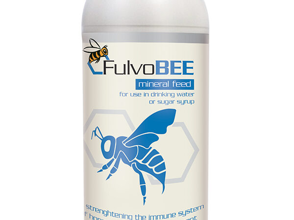 فلو بی fulvo bee