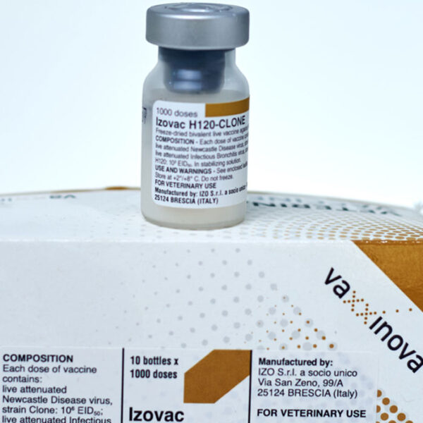 کلون برونشیت VAXXON H120-CLONE