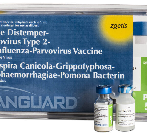 نه گانه ونگارد VANGUARD