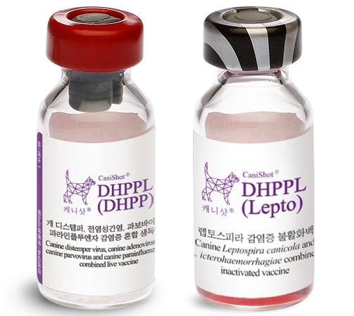 واکسن کوک (cavac) کنی شات دی اچ پی پی + کنی شات لپتو (CaniShot DHPPL)