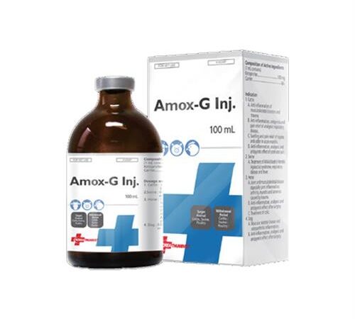 Amox G (آنتی بیوتیک تزریقی جنتامایسین+آموکسی سیلین)