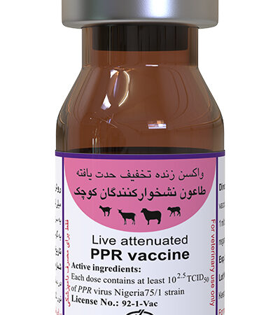 واکسن طاعون نشخوارکنندگان کوچک