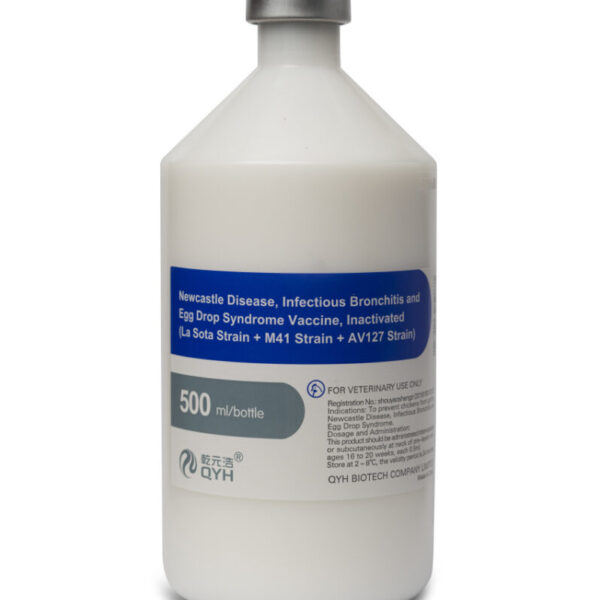 واکسن کشته سه گانه بیماری نیوکاسل (سویه Lasota)، برونشیت عفونی (سویه M41) و سندرم افت تولید تخم مرغ (سویه AV127)