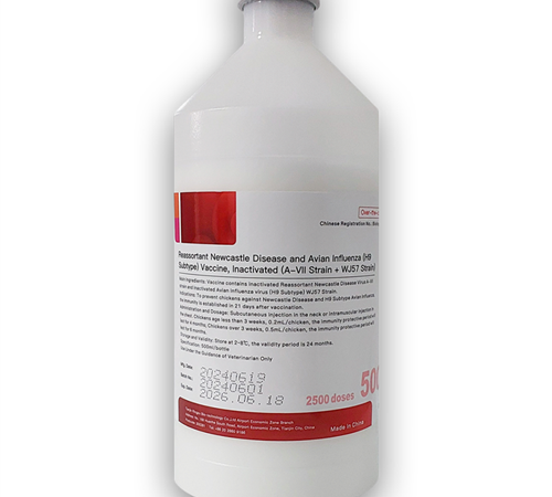 نیوکاسل سویه G7و آنفلوانزای پرندگان(H9N2) Reassortat H9,G7