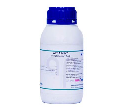 آپسا APSA MINT