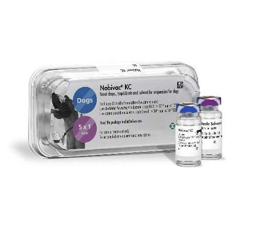 واکسن (Nobivac KC (Kennel Cough
