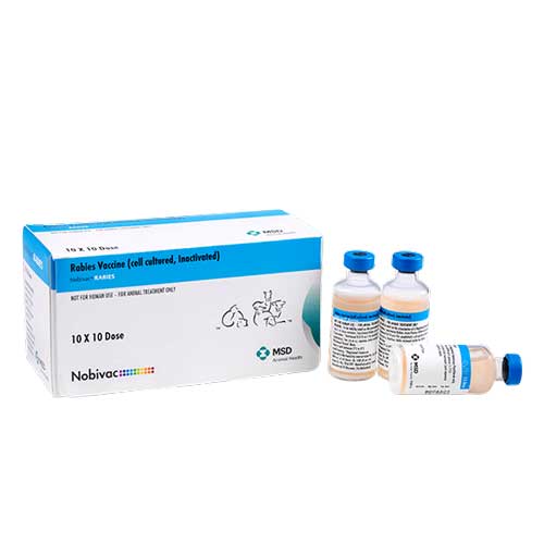 nobivac-rabies
