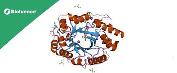 بايولوئنس آنزیم سلولاز CELLULASE 30,000