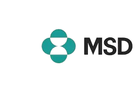 OIP removebg preview