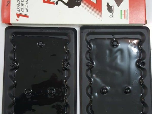 شرکت فراز سم چسب موش کتابی( تام کت آمریکا)